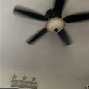 Meet your Posher, Tyson